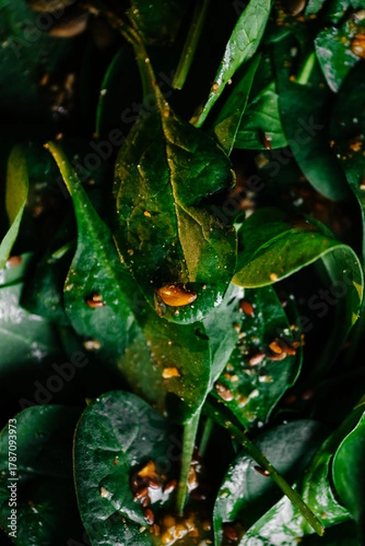 Fototapeta Macro photo of spinach salad with seeds and dressing, healthy green food background