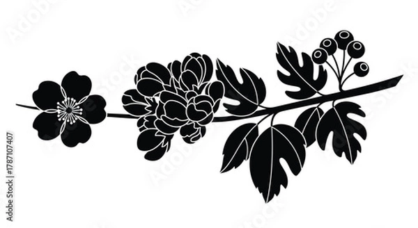Obraz Elegant floral branch blossom silhouette with leaves and berries design