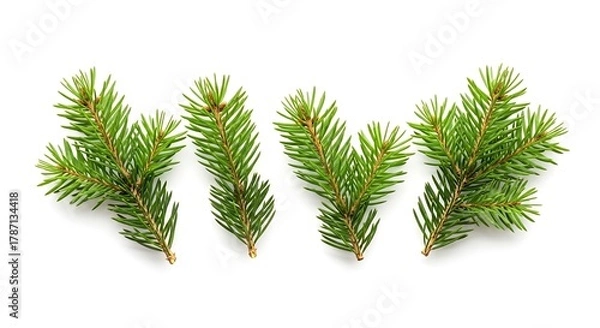 Obraz Fresh green spruce fir branches, conifer needles, and natural evergreen twigs scattered on a clean, isolated white background, perfect for winter holiday and nature-themed designs.