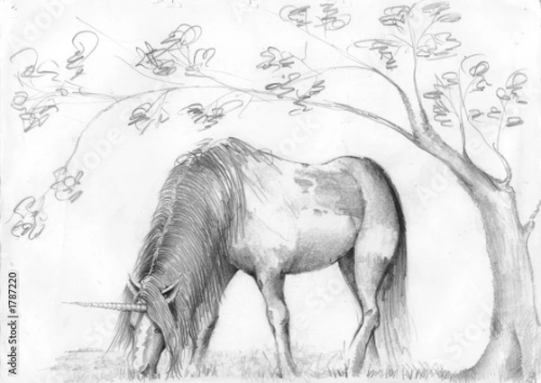Obraz horses, animals, illustrations