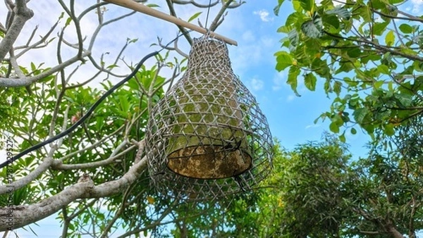 Fototapeta Hanging rattan lamp in a tree against a blue sky. The lamp has a woven design, blending with the natural surroundings.