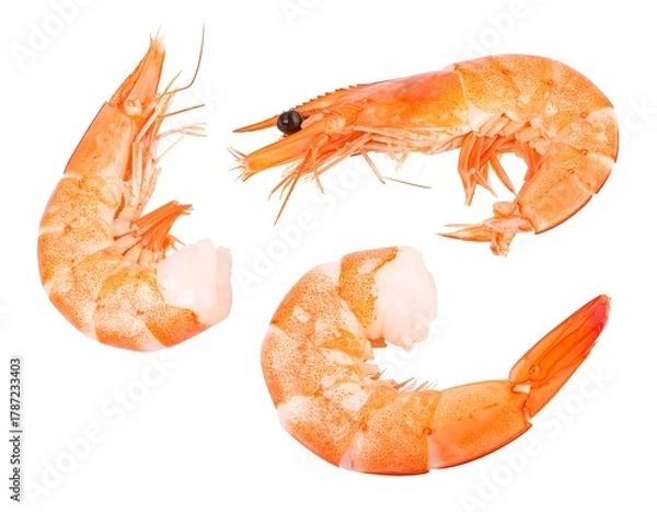 Obraz Close-up of three cooked shrimp on white background