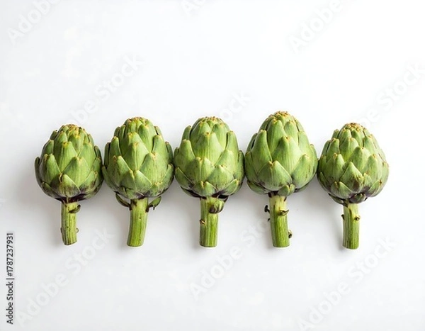 Obraz Five fresh green artichokes aligned on a clean white surface