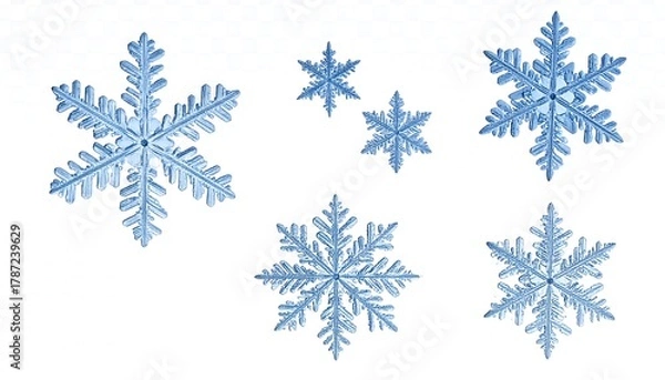 Obraz Delicate Blue Snowflake Collection on White Background.