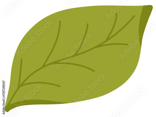 Obraz leaf
