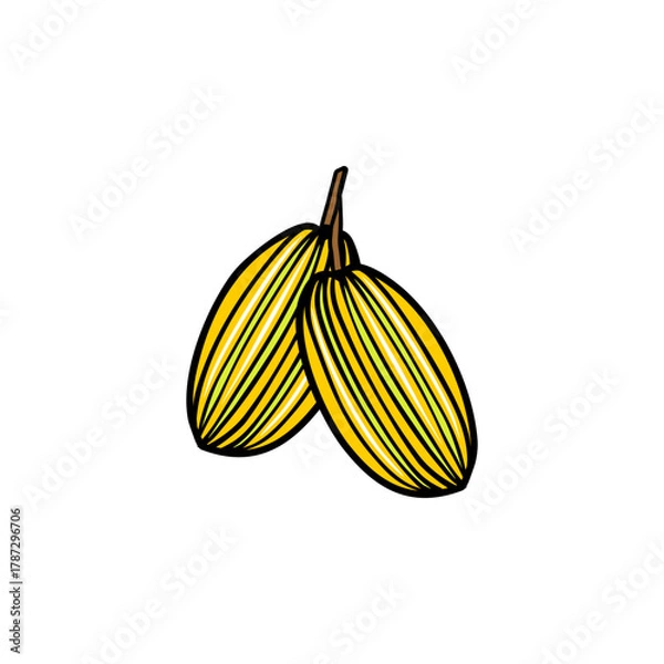Obraz yellow star fruit vector illustration