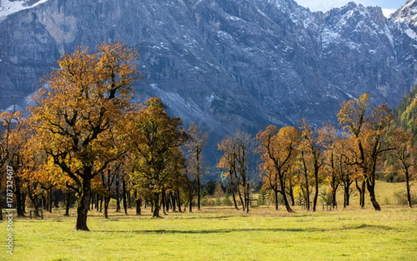 Obraz Bäume im Herbst