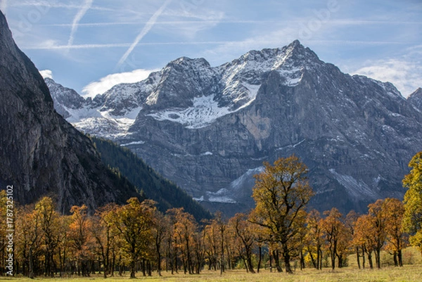 Obraz Bäume im Herbst vorm Gebirge