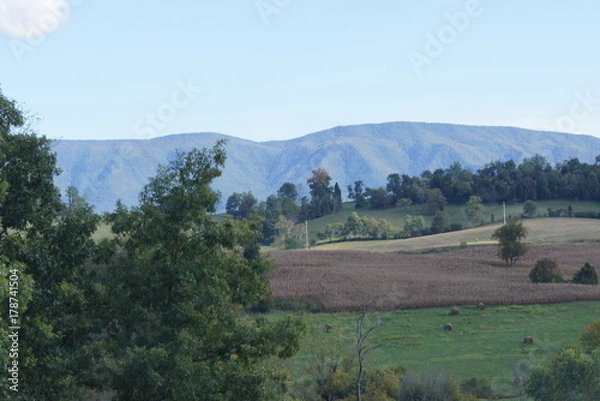 Obraz On a Clear Day