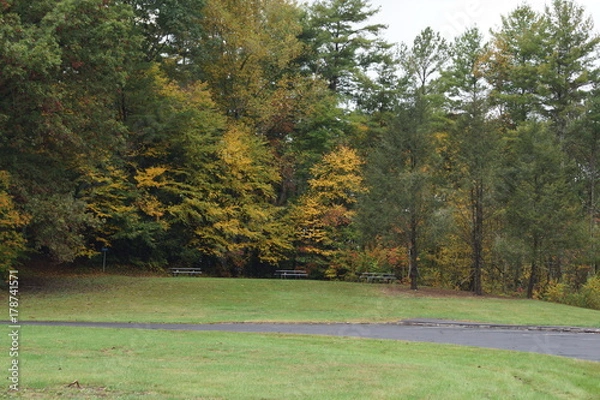 Obraz Fall landscape