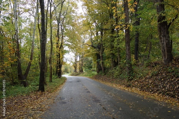 Obraz The long road home