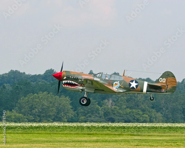 Obraz p-40 warhawk