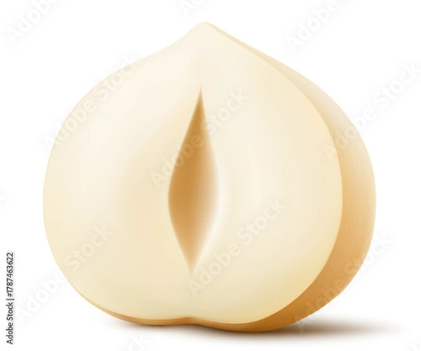 Obraz Half of shelled hazelnut isolated on a white background. Hazelnut in cross section. Hazelnut kernels are ripe and tasty, a healthy treat, a source of protein. Realistic 3d vector illustration.