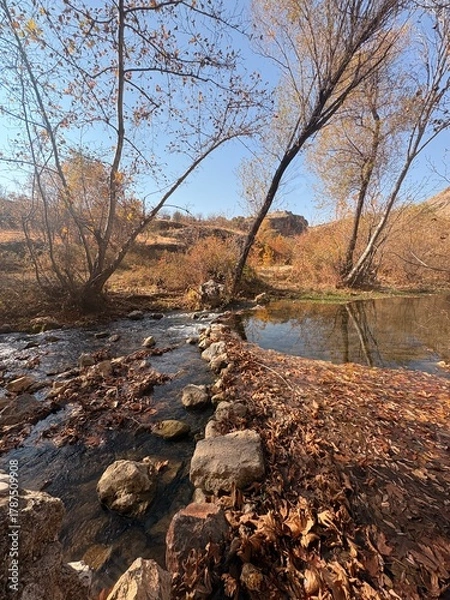 Obraz river in winter