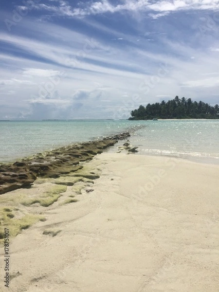 Obraz There is only one path