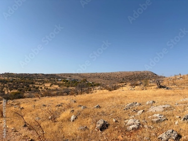 Obraz landscape with mountains