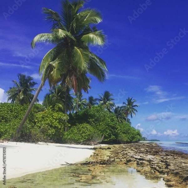 Obraz Wish you were here