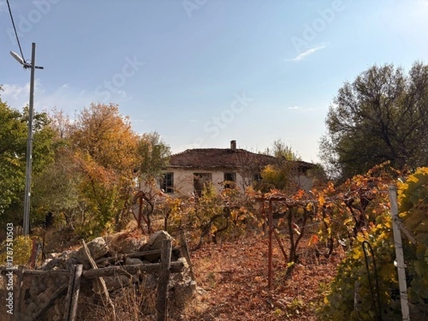 Obraz old abandoned house