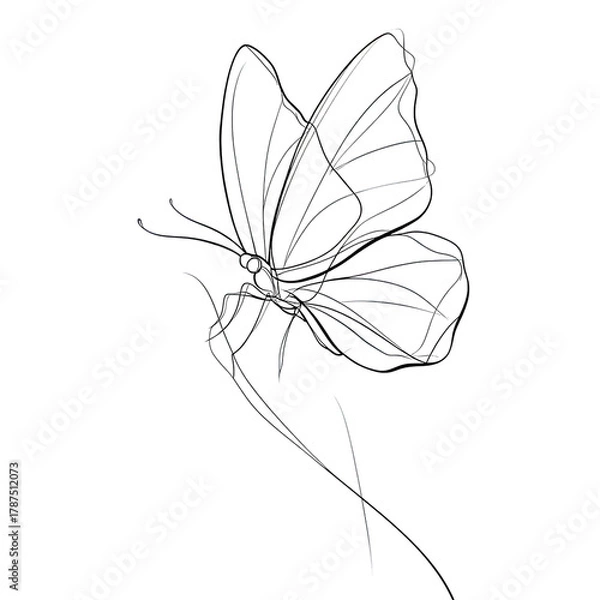 Fototapeta Creative one-line art illustration of a graceful butterfly with folded wings