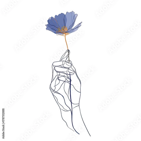Fototapeta Colorful one line art illustration of a hand holding a single flower