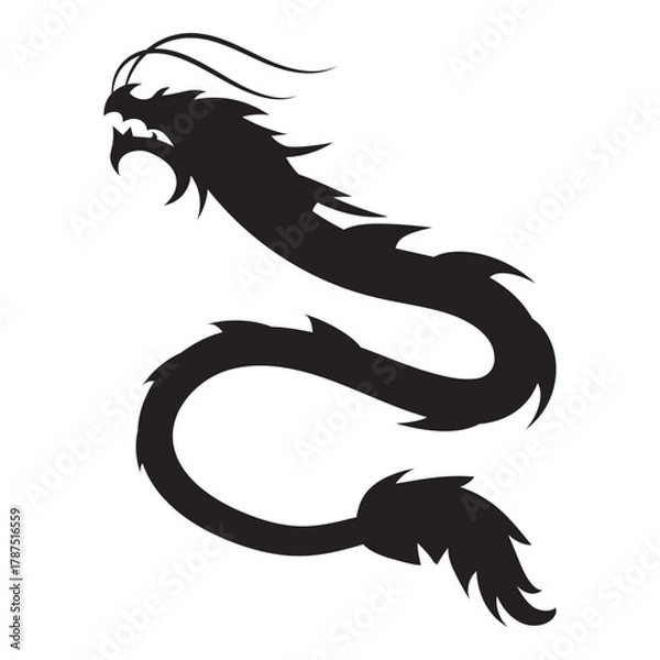 Fototapeta Chinese Dragon Silhouette