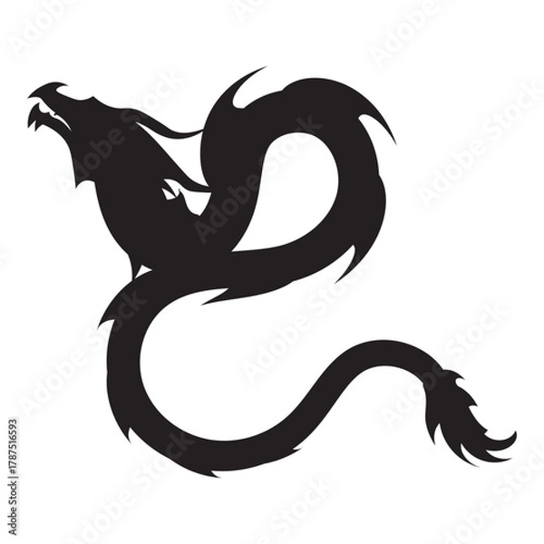 Fototapeta Chinese Dragon Silhouette