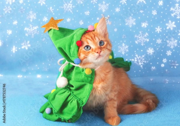 Fototapeta Portrait of a cute little kitten dressed as a Christmas tree costume with a star on a blue background