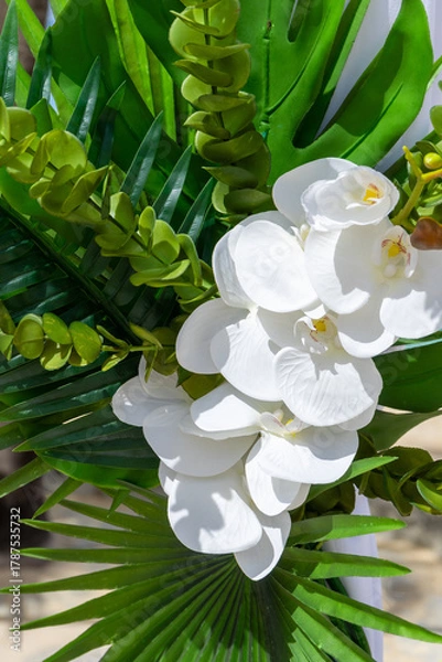Obraz White orchids and silk drapes adorn a Caribbean wedding pagoda in a scene of pure tropical elegance