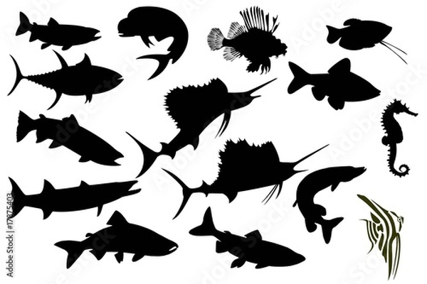 Obraz fishes set on a white background