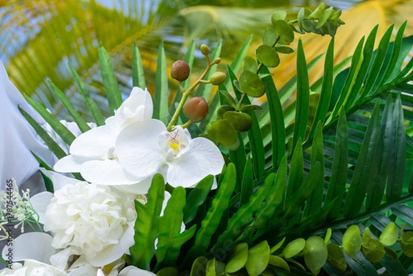 Obraz Delicate white orchids, lush tropical foliage and silk drapes create a timeless setting for island vows