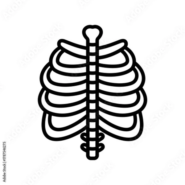 Obraz Rib Cage Schematic: An illustrative depiction of the human rib cage, showcasing the intricate framework of bones that protects the vital organs.