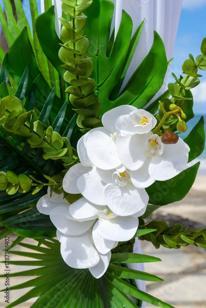 Obraz A floral masterpiece of Phalaenopsis aphrodite orchids and tropical leaves captures the essence of island romance