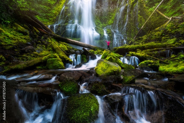 Fototapeta Proxy Falls, Oregon, USA, during summer