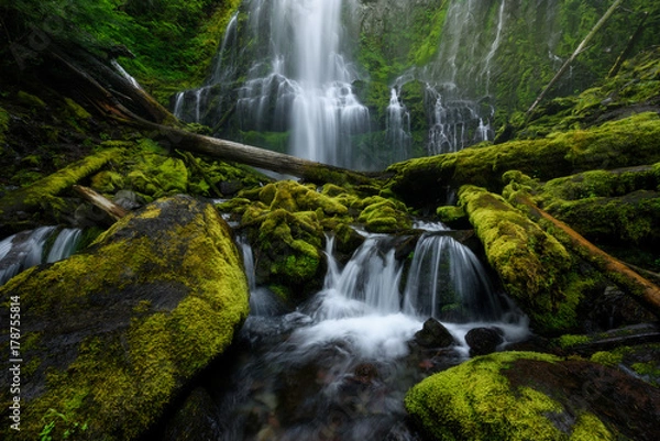 Fototapeta Proxy Falls, Oregon, USA, latem