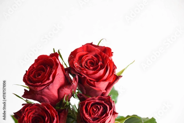 Fototapeta 赤いばら