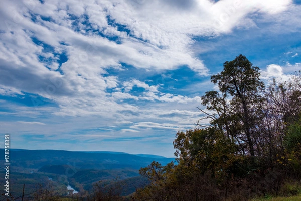 Obraz Clouds and Trees