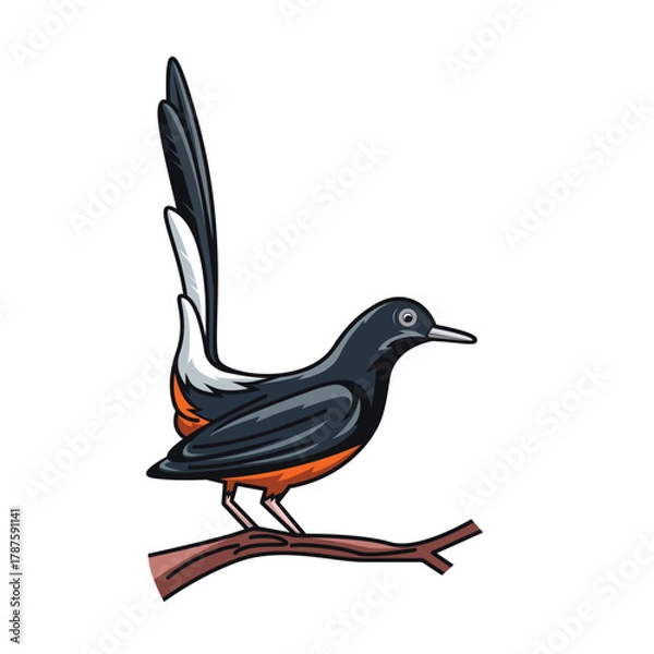 Obraz magpie robin illustration  vector element design template