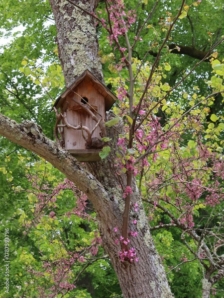 Fototapeta Un nichoir