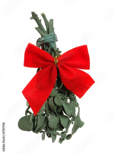 Obraz mistletoe