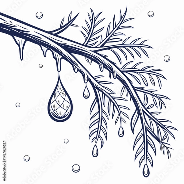 Fototapeta Illustration of a pine branch with icicles