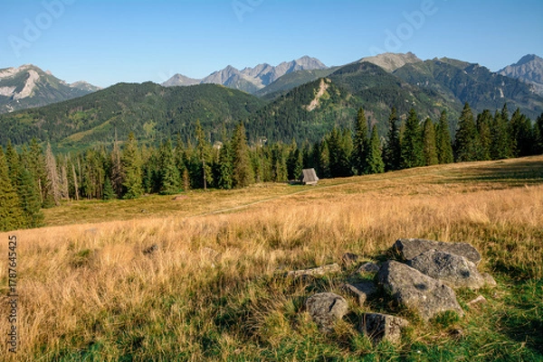 Obraz góry Tatry - widok z Rusinowej Polany