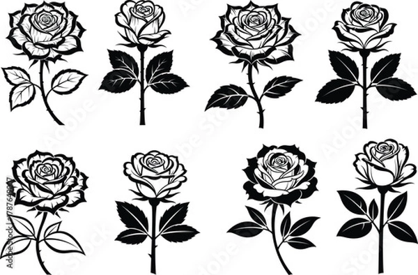 Fototapeta Black Rose Vector Set Elegant Floral Design Elements Rosebud Blossoms Stems and Leaves Isolated on Transparent Background