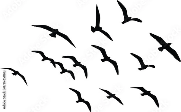 Fototapeta Graceful Flock Silhouette Flight Group Aerial Serenity Wildlife Nature Avian Fly Freedom Air Sky Wildlife Environment Tranquility