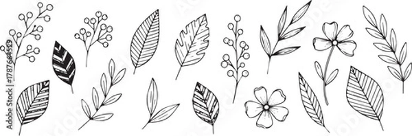 Fototapeta Hand-drawn botanical elements including leaves flowers and berries in a simple line art style for natural designs and decorations