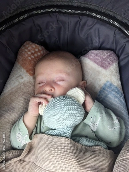 Fototapeta A peaceful three-month-old baby sleeps in a stroller, cuddling a soft teddy bear.

