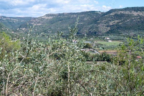 Fototapeta Panorama from the Castello Malaspina (Castello di Serravalle) in the city of Bosa in Sardinia, Italy