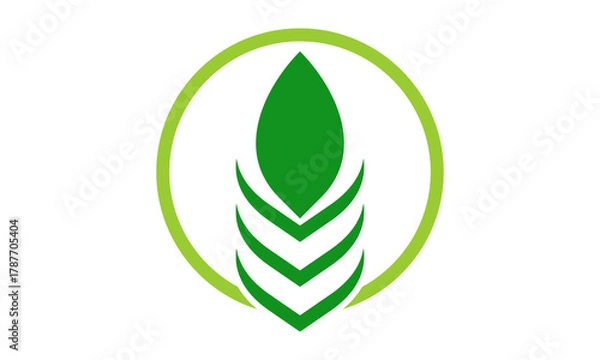 Obraz green leaf on the circle logo design