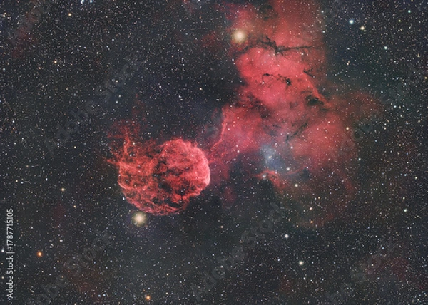 Obraz クラゲ星雲