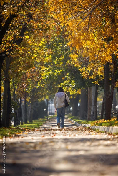 Fototapeta Alee frumoasă înconjurată de copaci în toamnă cu frunze colorate