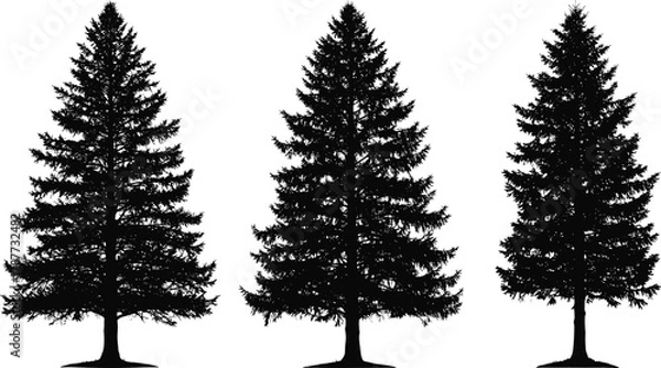 Obraz PrintPine tree silhouettes, evergreen forest illustration, black fir trees isolated on white background, nature vector art, woodland and Christmas design
